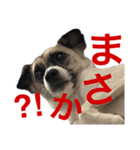 すんたらすたんぷ(叫び)（個別スタンプ：7）