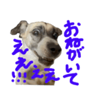 すんたらすたんぷ(叫び)（個別スタンプ：9）