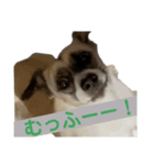 すんたらすたんぷ(叫び)（個別スタンプ：10）