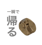 すんたらすたんぷ(叫び)（個別スタンプ：12）