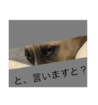すんたらすたんぷ(叫び)（個別スタンプ：15）