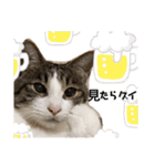 松さんスタンプ2（個別スタンプ：6）