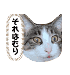 松さんスタンプ2（個別スタンプ：13）