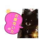 黒ポメ♡ハートちゃん（個別スタンプ：4）