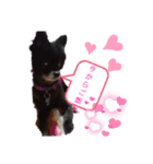 黒ポメ♡ハートちゃん（個別スタンプ：5）