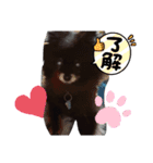 黒ポメ♡ハートちゃん（個別スタンプ：15）