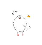 ゆるもち文鳥スタンプ（個別スタンプ：19）