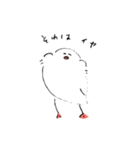 ゆるもち文鳥スタンプ（個別スタンプ：30）