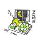 ぼくはかめっち2（個別スタンプ：2）