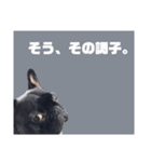 ぼすくんの日常2（個別スタンプ：10）