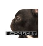 ぼすくんの日常2（個別スタンプ：11）