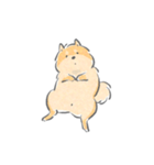 感情表現ゆたかな柴犬（個別スタンプ：3）