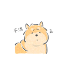 感情表現ゆたかな柴犬（個別スタンプ：6）