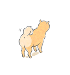 感情表現ゆたかな柴犬（個別スタンプ：8）