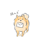 感情表現ゆたかな柴犬（個別スタンプ：10）