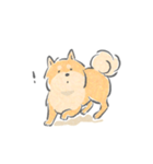 感情表現ゆたかな柴犬（個別スタンプ：15）