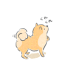 感情表現ゆたかな柴犬（個別スタンプ：16）