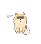 感情表現ゆたかな柴犬（個別スタンプ：19）