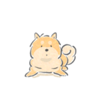 感情表現ゆたかな柴犬（個別スタンプ：24）