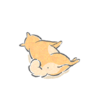 感情表現ゆたかな柴犬（個別スタンプ：29）