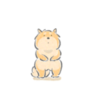 感情表現ゆたかな柴犬（個別スタンプ：31）