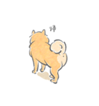 感情表現ゆたかな柴犬（個別スタンプ：34）
