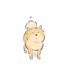 感情表現ゆたかな柴犬（個別スタンプ：35）