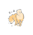 感情表現ゆたかな柴犬（個別スタンプ：36）