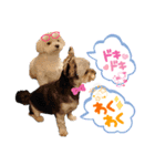 ウチの子が可愛くて！！！（個別スタンプ：5）
