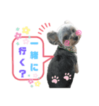 ウチの子が可愛くて！！！（個別スタンプ：7）