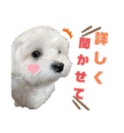 ウチの子が可愛くて！！！（個別スタンプ：8）