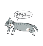 トラネコのうーサマ（個別スタンプ：2）