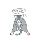 トラネコのうーサマ（個別スタンプ：3）