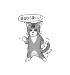 トラネコのうーサマ（個別スタンプ：5）