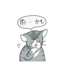 トラネコのうーサマ（個別スタンプ：7）