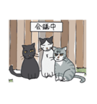 トラネコのうーサマ（個別スタンプ：10）