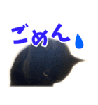 コテギー1（個別スタンプ：4）