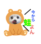 こまめ＆アレックスのスタンプ（個別スタンプ：27）