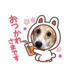 こまめ＆アレックスのスタンプ（個別スタンプ：31）