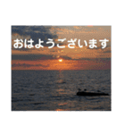 鰀目大敷網MEN（個別スタンプ：1）