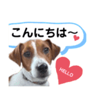 ジャックだよ！（個別スタンプ：2）