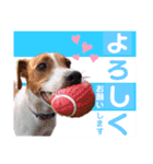 ジャックだよ！（個別スタンプ：11）