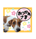 ジャックだよ！（個別スタンプ：14）
