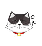 ジト目の猫（個別スタンプ：1）