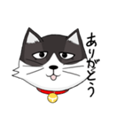 ジト目の猫（個別スタンプ：2）