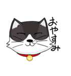 ジト目の猫（個別スタンプ：3）