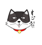 ジト目の猫（個別スタンプ：4）