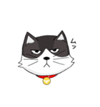 ジト目の猫（個別スタンプ：6）