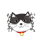 ジト目の猫（個別スタンプ：7）