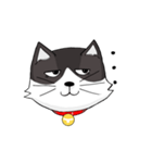 ジト目の猫（個別スタンプ：9）